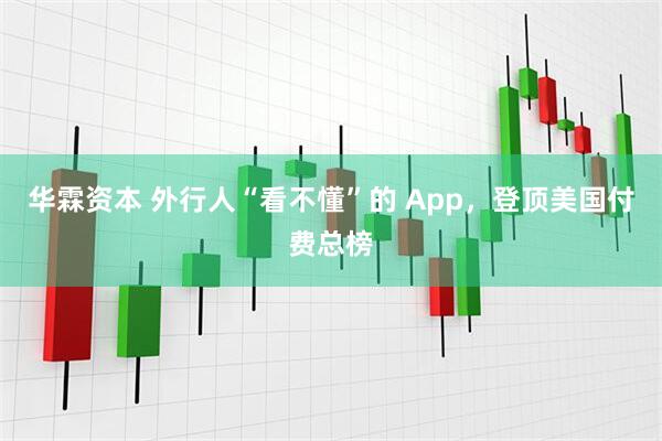 华霖资本 外行人“看不懂”的 App，登顶美国付费总榜